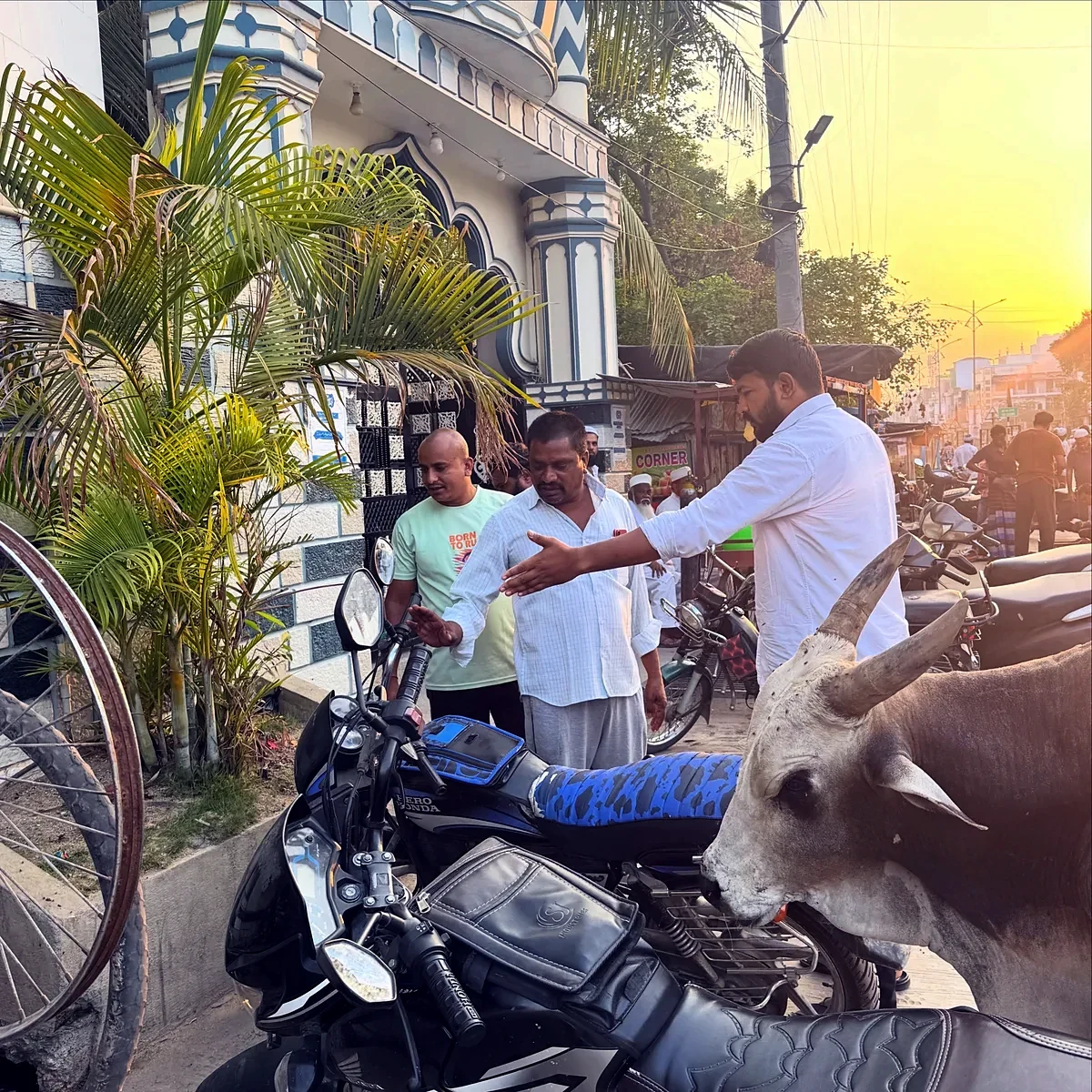 డ్రైనేజీ పరిశీలన